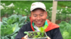 Farmer Wong Yu-wing displays vegetable seedlings. (UK branch of Euro Organic Farm/Facebook)