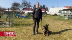 Instruktori iz BiH obučavat će ukrajinske deminere za rad sa psima koji prolaze treninge u centru kod Sarajeva