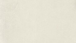 چرا نمادهای دو حزب سیاسی آمریکا دو حیوان است؟