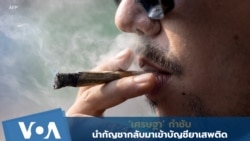 ‘เศรษฐา’ กำชับ ดึงกัญชากลับมาผิด กม. ภายในสิ้นปี