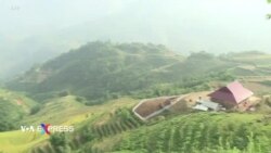 Ngân hàng Thế giới chi 51,5 triệu đô cho Việt Nam về kết quả giảm carbon