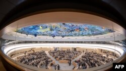 United Nations Human Rights Council