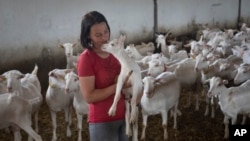 A farm worker holds a goat on a farm in Zhurivka, Kyiv region, Ukraine, Aug. 10, 2023.