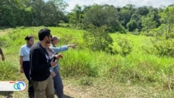  Hipopótamos: La especie invasora que genera polémica en Colombia