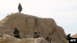 هێزە عێراقییەکان لە میانەی شەڕی دژی داعش. (وێنەی ئەرشیف)