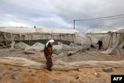 Palestinian farmers inspect an agricultural greenhouse after it was hit in an Israeli airstrike, in Rafah in the southern Gaza Strip, Jan. 11, 2024.