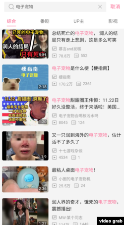 視頻網站嗶哩嗶哩上搜索“電子寵物”可見大量網暴內容