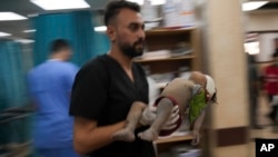 A Palestinian child wounded in an Israeli bombardment is carried into a hospital south of the Gaza Strip, Nov. 2, 2023. International humanitarian law seeks, for humanitarian reasons, "to limit the effects of armed conflict," says the International Committee of the Red Cross.