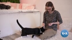 US Volunteer Helps Save Animals From Ukraine's Bombed Cities 