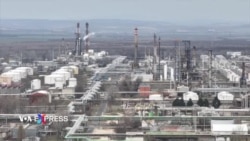 Hungary muốn học ‘ngoại giao cây tre’, ‘đi dây’ giữa phương Tây và Nga-Trung? 