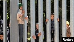 19.000 мигранти се обиделе да влезат во Полска од Белорусија досега оваа година, во споредба со 16.000 во текот на целата 2022 година