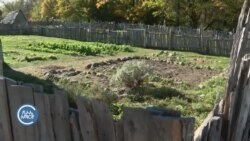 የምስጋና ቀን አፈ ታሪኮች