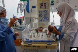 หน่วยแพทย์ของปาเลสไตน์กำลังดูแลเด็กทารกที่คลอดก่อนกำหนดซึ่งได้รับการอพยพออกจากโรงพยาบาล อัล ชีฟา มายังโรงพยาบาลในอียิปต์ เมื่อวันที่ 19 พ.ย. 2566