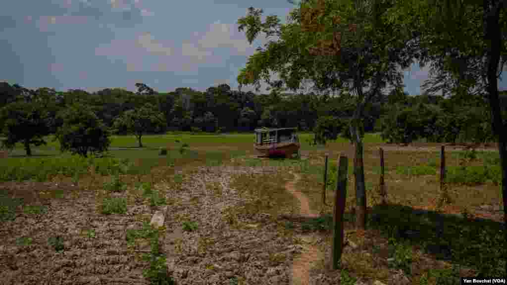 Areas that were historically flooded on the banks of the main rivers of the Amazon are completely dry, like this lake in Iranduba, Oct. 4, 2023