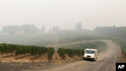 FILE - A U.S. postal delivery vehicle drives past at a smoke-shrouded vineyard in Salem, Ore., on Sept. 16, 2020.