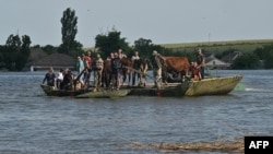 Ukrainian servicemen evacuate local residents and cows on a barge from the flooded village of Afanasiyivka, Mykolaiv region, on June 9, 2023, following damage sustained at Kakhovka hydroelectric power plant dam.