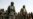 Mali Junta Ends Peace Deal With Separatists  