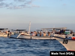 Jukung-jukung wisatawan menyaksikan lumba-lumba. (Foto: VOA/Made Yoni)