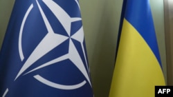 Четириесет и шест експерти за надворешна политика потпишаа отворено писмо во кое ги повикаа лидерите на НАТО Алијансата на самитот во Вилнус да определат патоказ за членство на Украина во НАТО што е можно поскоро