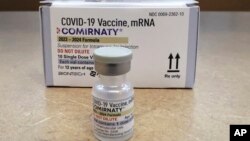 This file images shows Comirnaty, a new Pfizer/BioNTech vaccination booster for COVID-19, is displayed at a pharmacy in Orlando, Fla., on Friday, Sept. 15, 2023. (Joe Burbank/Orlando Sentinel via AP)