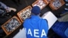 Anggota tim ahli Badan Energi Atom Internasional (IAEA) mengamati ikan untuk dijadikan sampel menyusul pelepasan air limbah PLTN Fukushima, di Pelabuhan Hisanohama, Kamis, 19 Oktober 2023, Iwaki, timur laut Jepang. (Foto: via Reuters)