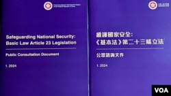 香港保安局表示，为期约一个月的《基本法》23条立法公众咨询，收到超过1万3千份意见书，当中接近99%表达支持及正面的意见 (美国之音/汤惠芸)