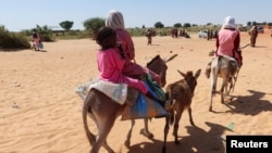 Anak-anak menaiki keledai menyeberang dari Sudan ke Chad, 7 November 2023. (Foto: El Tayeb Siddig/Reuters)