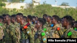 Ciidamada Soomaaliya 