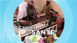 Carnet de Santé : la lutte contre le paludisme