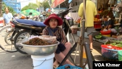 អ្នកស្រី ខេង យ៉យ អង្គុយលក់ចង្រិត នៅមុខផ្សារកាប់គោ ក្នុងខណ្ឌចំការមន រាជធានីភ្នំពេញ កាលពីថ្ងៃទី២ ខែវិច្ឆិកា ឆ្នាំ២០២៣។ (លាស់ លីបលីប/វីអូអេ)