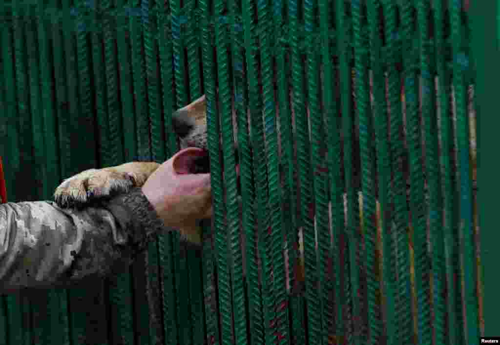 Popova acaricia a una loba llamada Venera. &ldquo;Cada vez es más difícil encontrar lugares que acepten a nuestros animales&rdquo;, dijo.