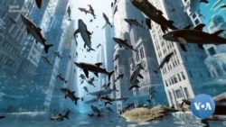 AI’s Newest Advance: Realistic High-Definition Video From a Few Words