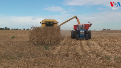 កសិករ​អាមេរិក​រងទុក្ខ​ផ្ទួនៗ​ដោយសារ​សង្គ្រាម​នៅ​អ៊ុយក្រែន​ និង​អត្រា​ការប្រាក់​ខ្ពស់