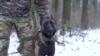 Ukrainian Military Training Dogs to Participate in Combat Missions