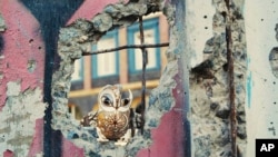 Scena iz filma "Porcelanski rat" Slave Leontjeva i Andreja Stefanova, u zvaničnoj selekciji Filmskog festivala Sandens 2024. (Foto: Slava Leontyev, Andrey Stefanov/Sundance Institute via AP)