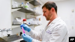 Research scientist Kevin Potts checks on trypsin, a proteolytic enzyme, to dissociate ovarian cancer cells being grown on a plastic plate at UW Medicine's Cancer Vaccine Institute May 25, 2023.