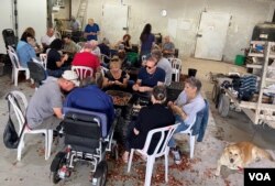 这群来帮忙的人都是从小就认识农场女主人哈加尔的同班同学。他们都是在以色列南部沙漠地带里的阿拉德（Arad ）城市一起长大，至今相识已60年。这群67岁上下的同窗好友，一边工作，一边聊天叙旧。(美国之音/赖素芬)