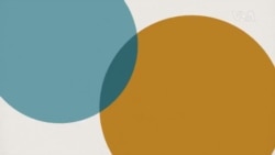 Crossing Borders 312