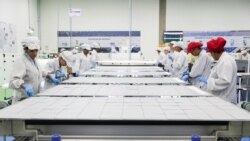 太陽能難題：英國議員呼籲擺脫對中國的倚賴