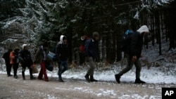 Grupa migranata se kreće kroz šumu na planini Plješevica u pokušaju ilegalnog prelaska granice u Hrvatsku, Bihać, novembar 2018.