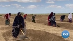 South Africa’s Ethiopian Diaspora Hopeful of Peace Talks