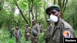 FILE - Park wardens stand by as they bring tourists to see mountain gorillas in Virunga National Park in the Democratic Republic of Congo, Oct. 21, 2012. 