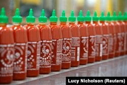 Saus cabai pedas Sriracha dibuat di pabrik Huy Fong Foods di Irwindale, sebagai ilustrasi. Penduduk Northern Territory, Australia, tidak asing lagi dengan sambal terasi. (Foto: Reuters)