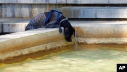 A dog tries to reach the water in a pond to have a drink in Madrid, Spain, July 13, 2022. 