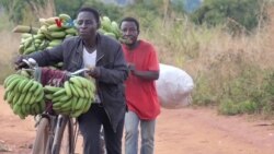 Pedagang Pisang Beralih Pakai Sepeda Akibat Naiknya Harga BBM