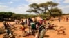 UN Agencies: Severe Hunger Sliding Toward Famine in Horn of Africa