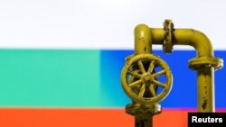 Ilustrasi - Sebuah model pipa gas alam terlihat di depan warna bendera Bulgaria dan Rusia, 26 April 2022. (REUTERS/Dado Ruvic)