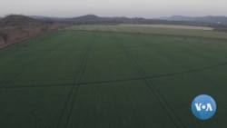 Zimbabwe Loaf of Bread Now Costs $2, A 100% Increase Since Russia Invaded Ukraine 