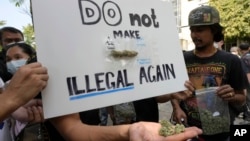 Cannabis supporters hold piece of cannabis during gather outside the Government House in Bangkok, Thailand, Nov. 22, 2022. 