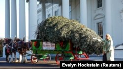 Ibu negara AS Jill Biden menerima Pohon Natal Gedung Putih 2022 bersama cucunya Beau Biden, di Gedung Putih di Washington, AS, 21 November 2022. (Foto: REUTERS/Evelyn Hockstein)